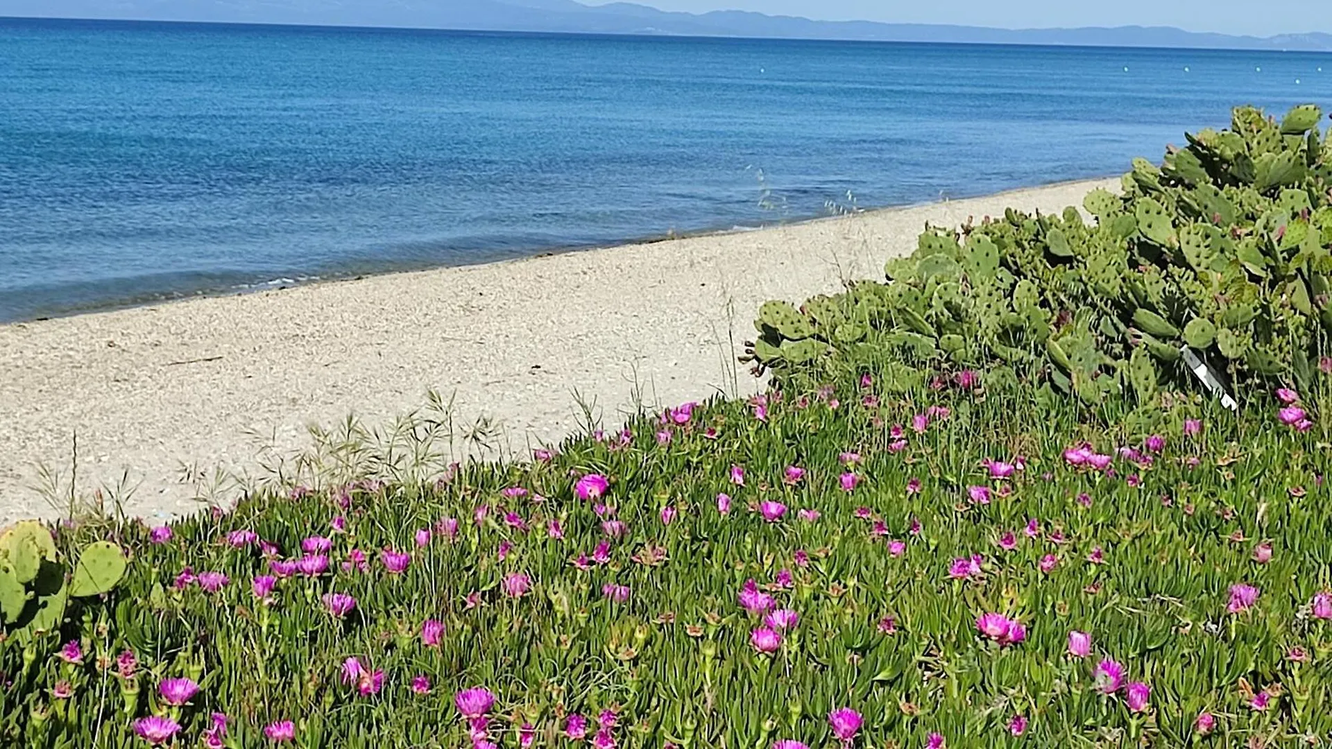 Villa Christina Sea Side B Hanioti